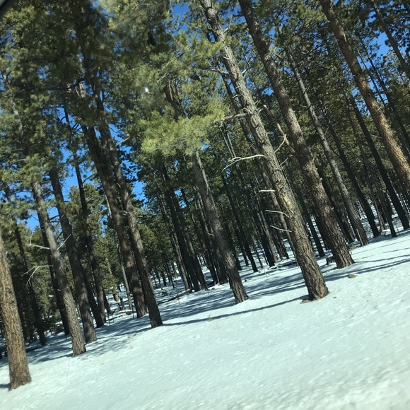 Meet your Posher, Leslie - Picture 3 of 4